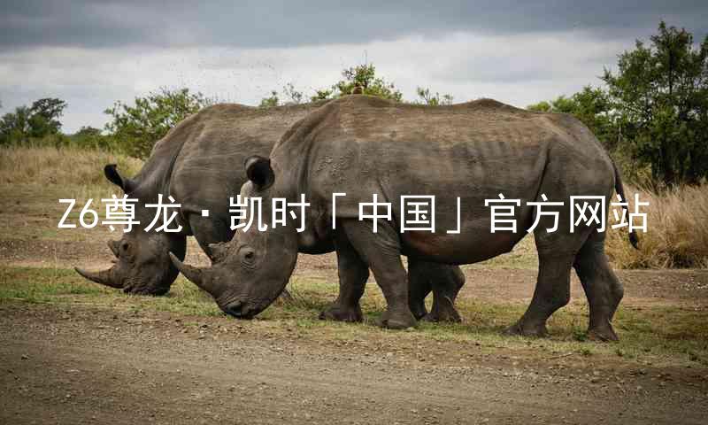 Z6尊龙·凯时「中国」官方网站
